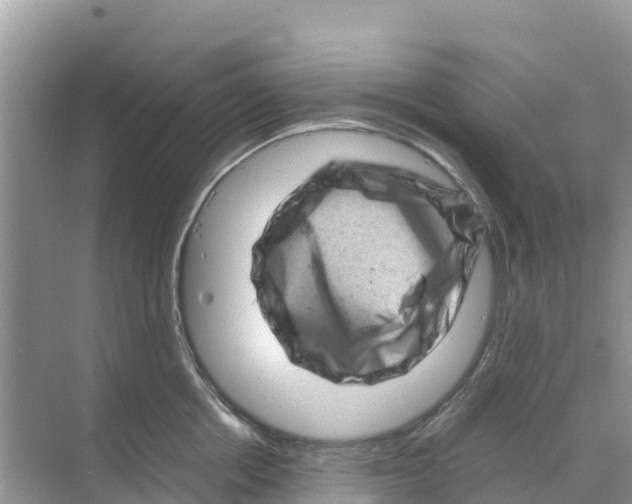 X0000070190858200606232011