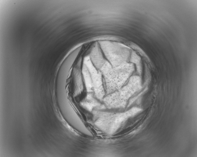 X0000070190860200606232011