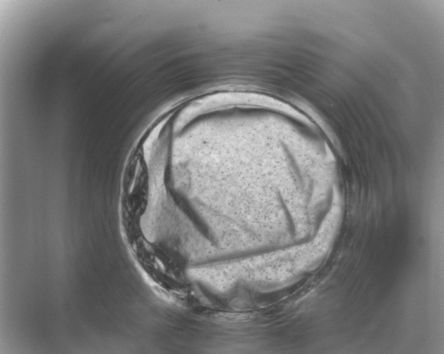 X0000070190861200606232011