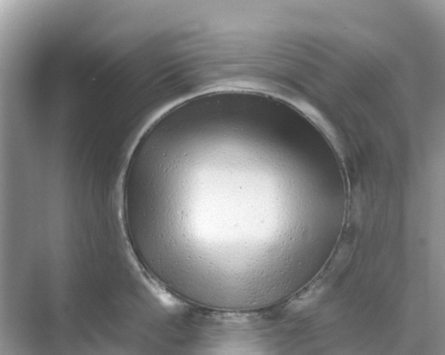 X0000070190862200606232011