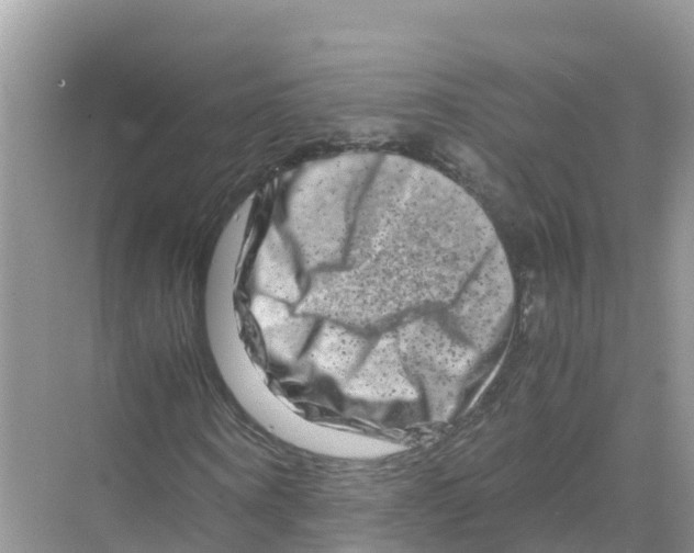 X0000070190866200606232010