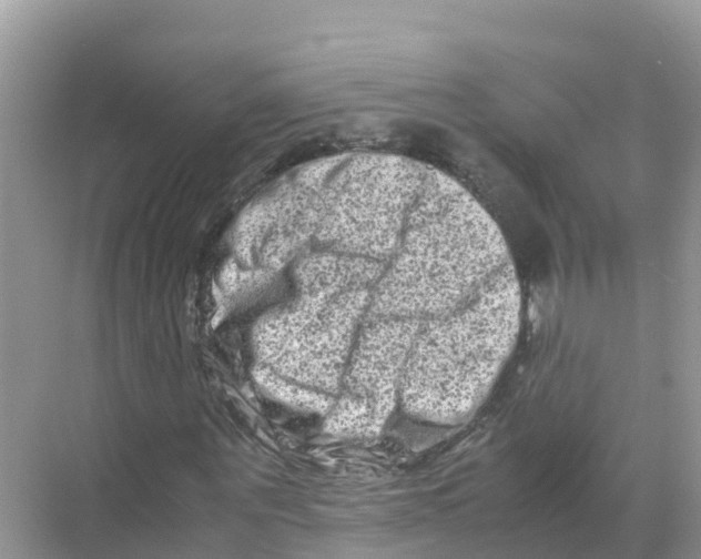 X0000070190867200606232010