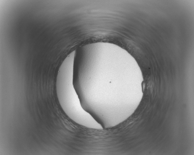 X0000070190868200606232010