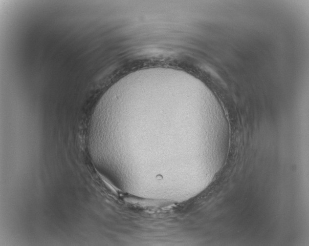 X0000070190869200606232010