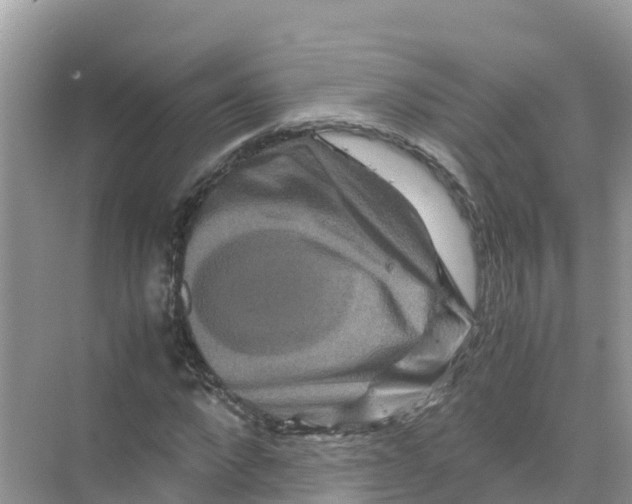 X0000070190872200606232010