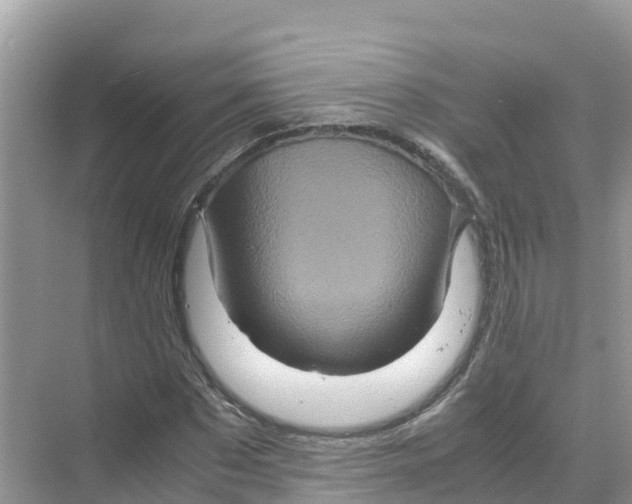 X0000070190873200606232010