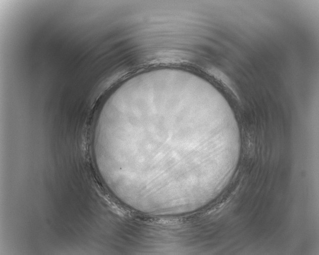 X0000070190874200606232010