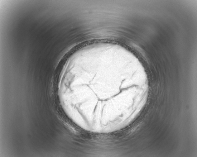 X0000070190875200606232010