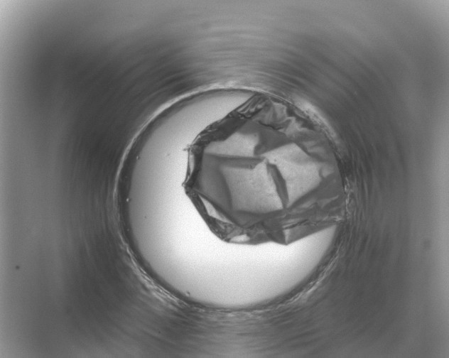 X0000070190876200606232010