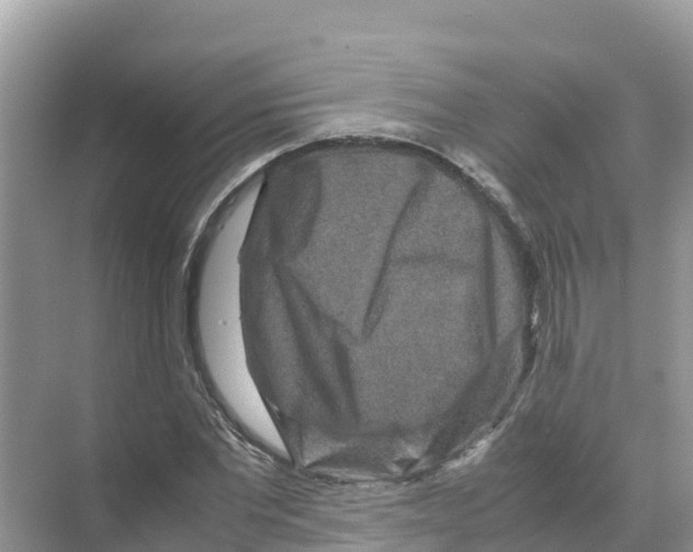 X0000070190877200606232010