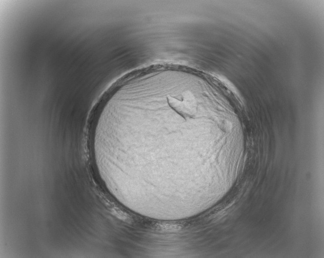 X0000070190878200606232010