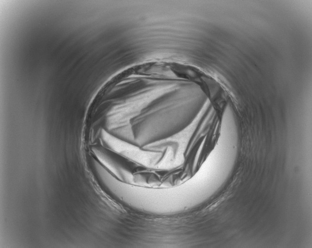 X0000070190880200606232010