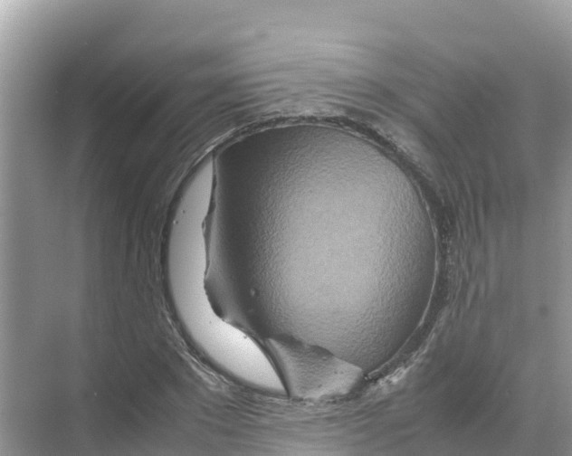 X0000070190881200606232010