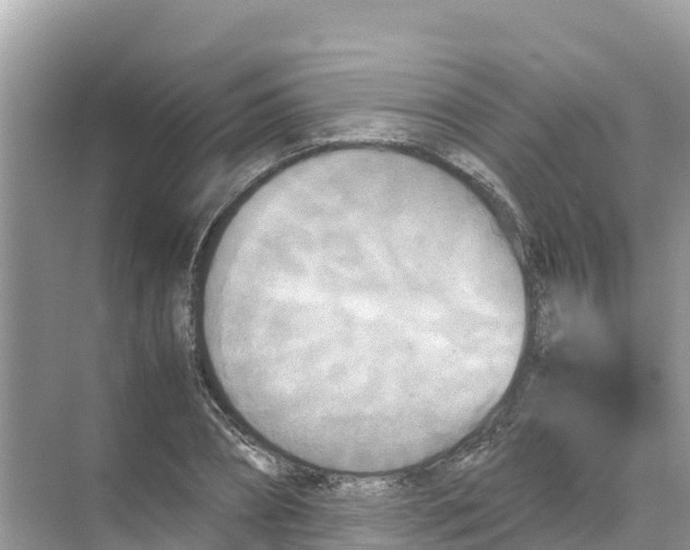 X0000070190882200606232010