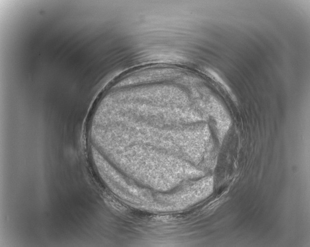 X0000070190883200606232010