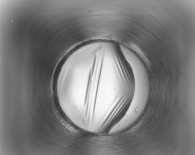 X0000070190884200606232010