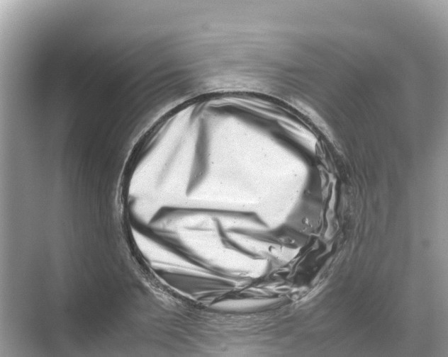 X0000070190885200606232010