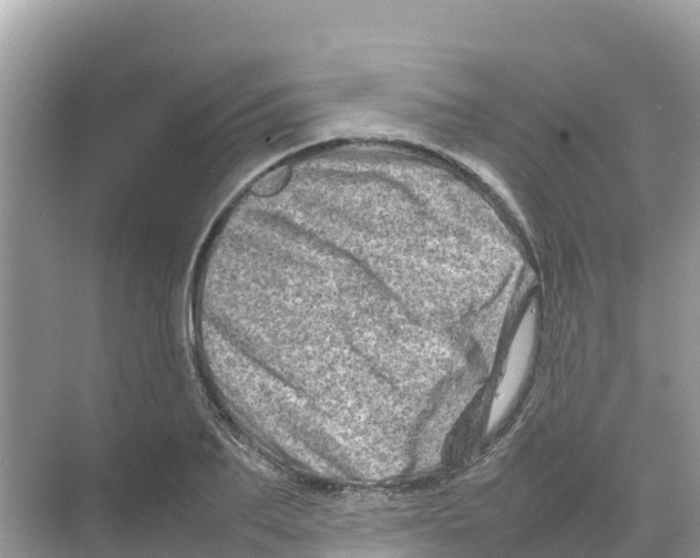 X0000070190887200606232010