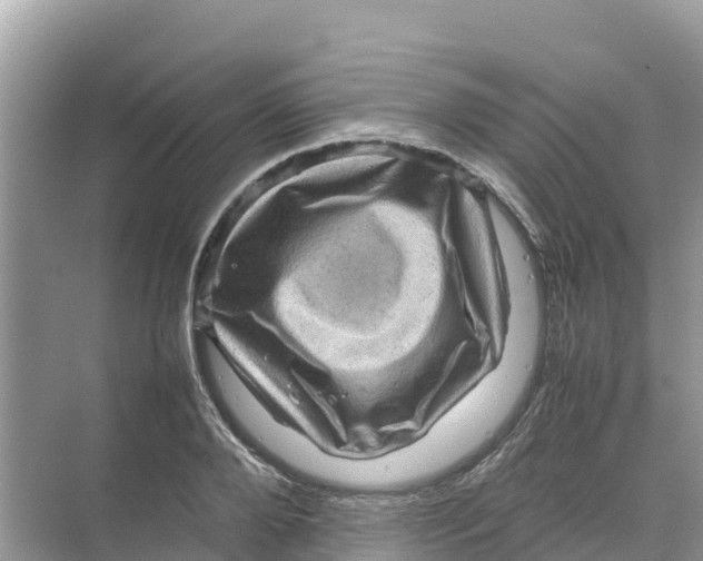 X0000070190888200606232010