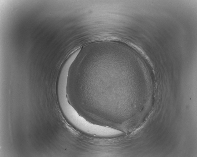 X0000070190889200606232010