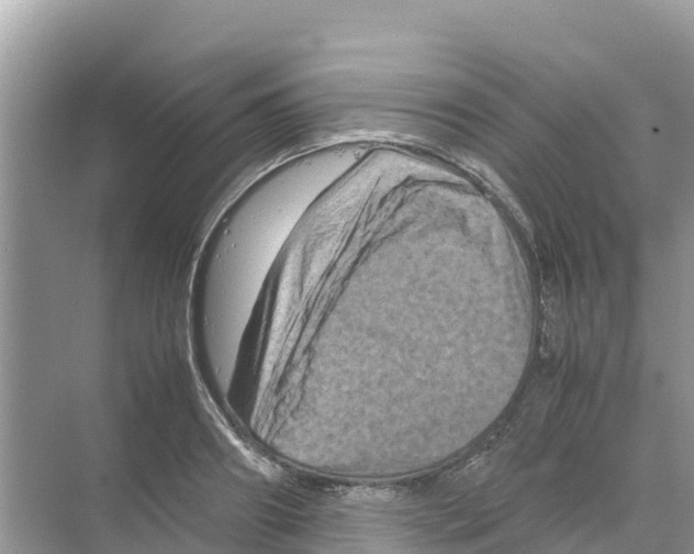 X0000070190890200606232010