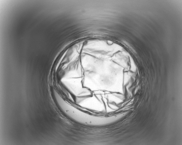 X0000070190891200606232010