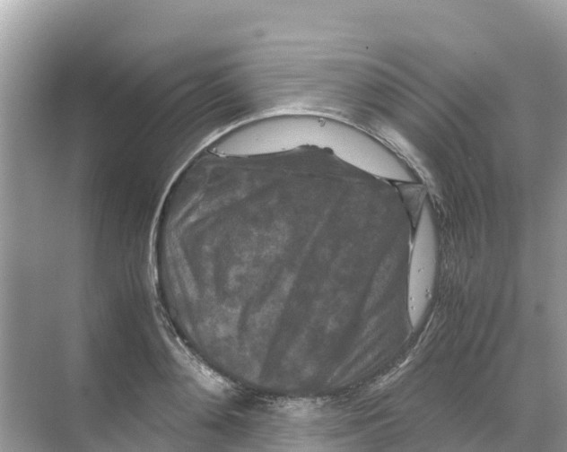 X0000070190892200606232010