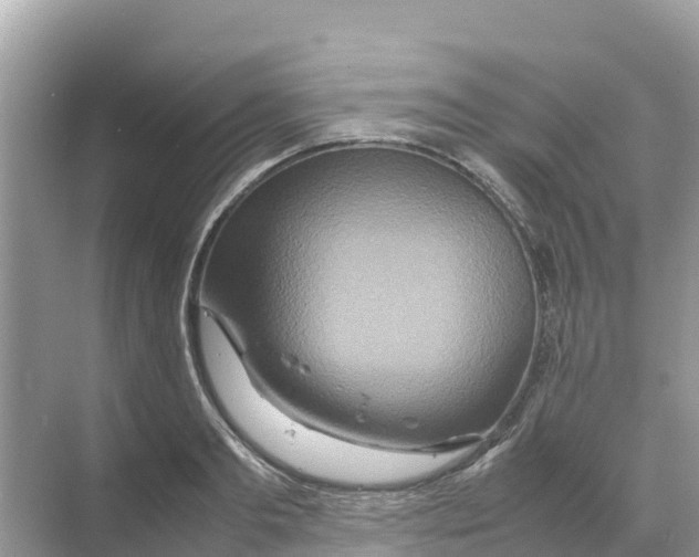 X0000070190893200606232010