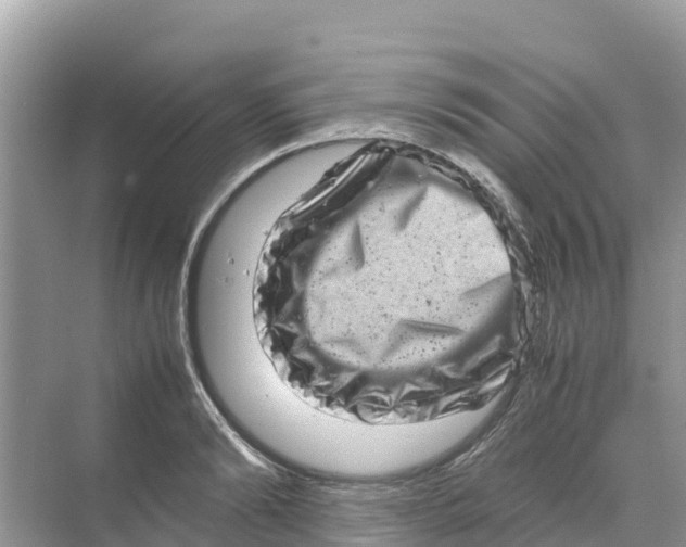 X0000070190894200606232009