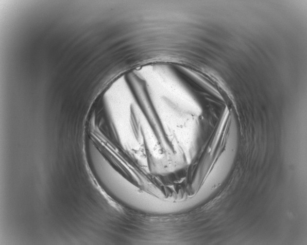 X0000070190898200606232009