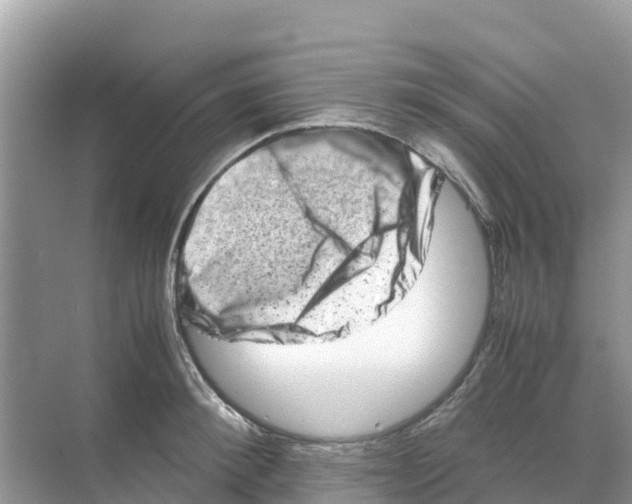 X0000070190900200606232009