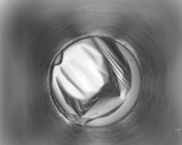 X0000070190902200606232009