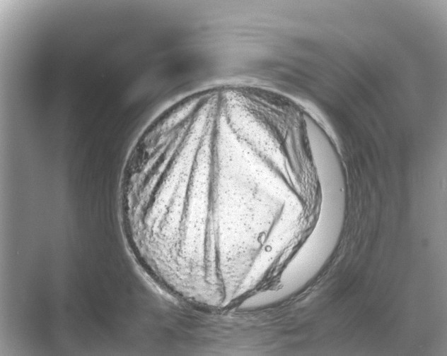 X0000070190903200606232009