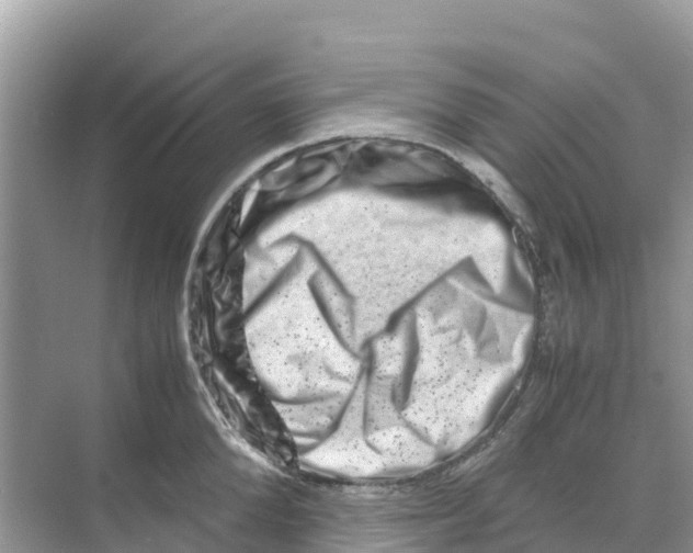 X0000070190904200606232009