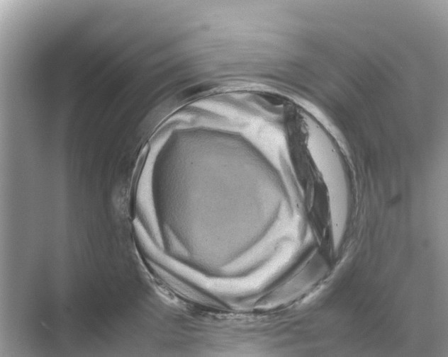 X0000070190905200606232009