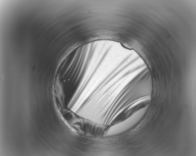 X0000070190906200606232009