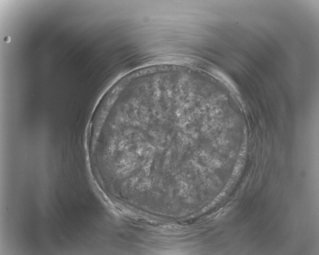 X0000070190907200606232009