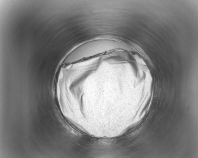 X0000070190908200606232009