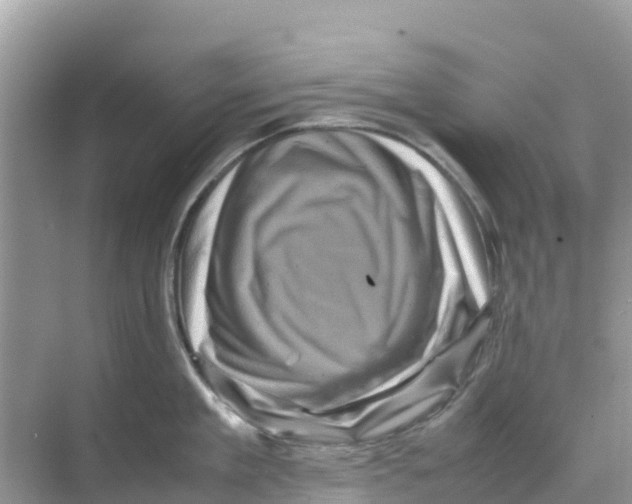 X0000070190909200606232009