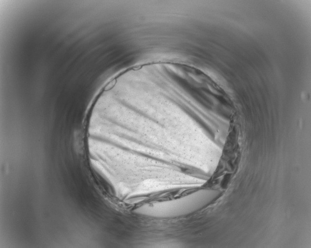 X0000070190912200606232009