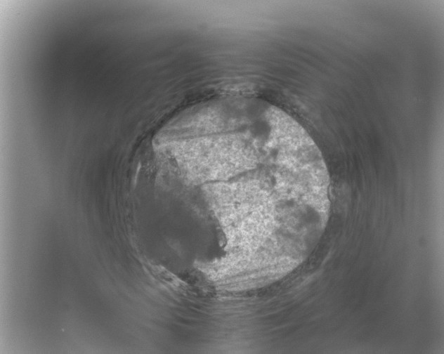 X0000070190913200606232008