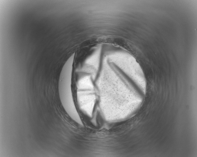 X0000070190914200606232008