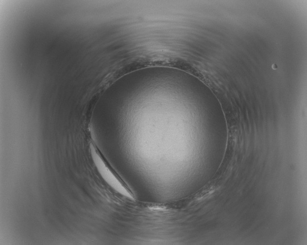 X0000070190916200606232008