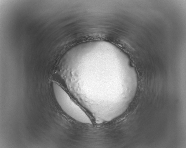 X0000070190917200606232008