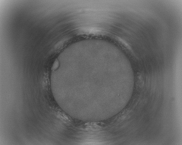 X0000070190918200606232008