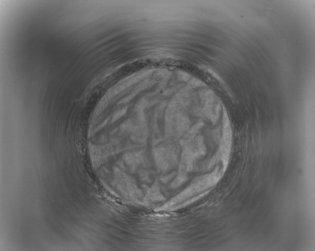 X0000070190919200606232008