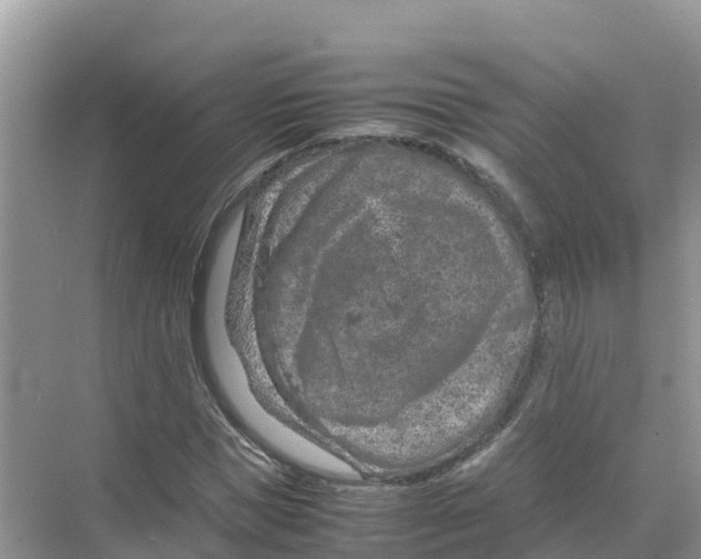 X0000070190921200606232009