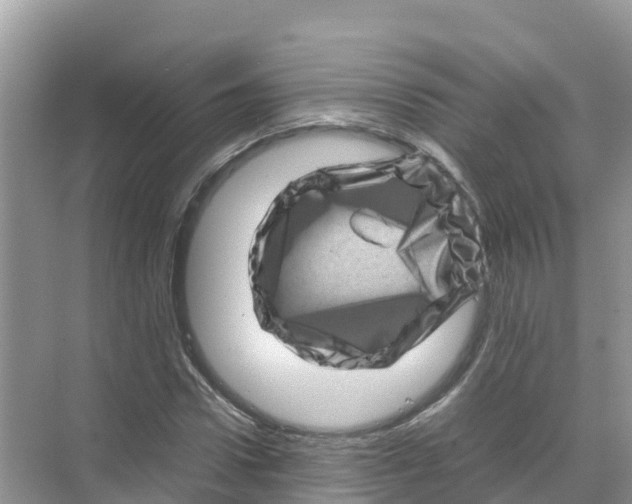 X0000070190922200606232009