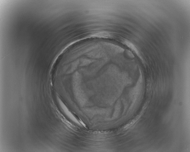 X0000070190923200606232009