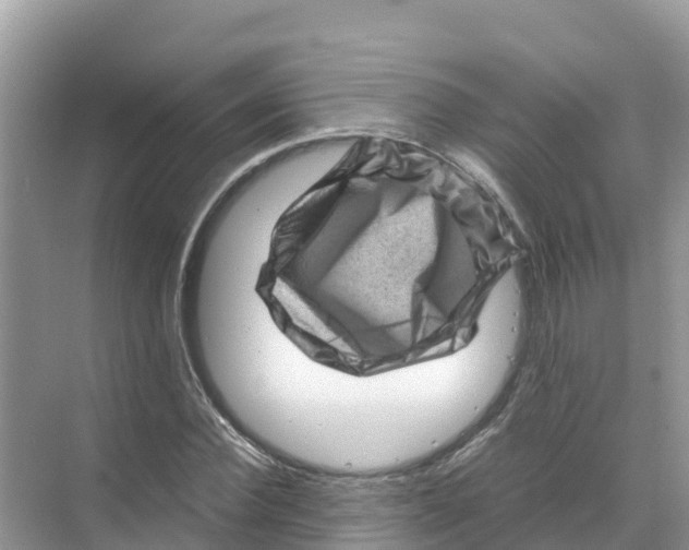 X0000070190924200606232009